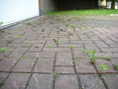 Sedgley Powerwash Services - before