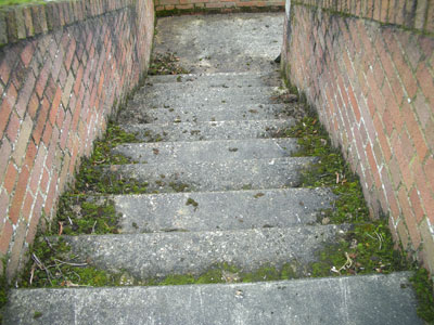 Sedgley Powerwash Services - before